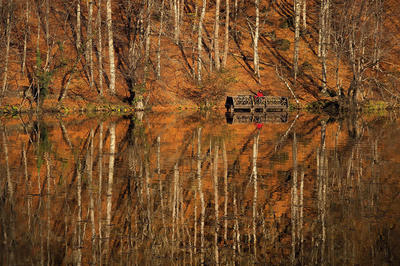 Yedigöller: Güz Güzeli