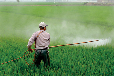 Zehirsiz Sofralar Mümkün