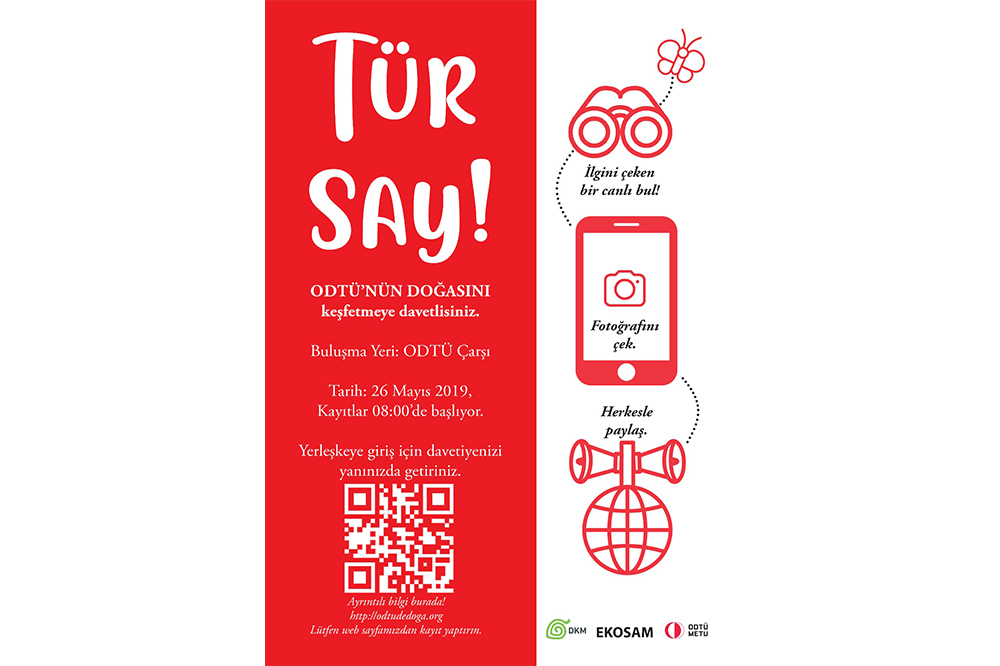 Tür Say!