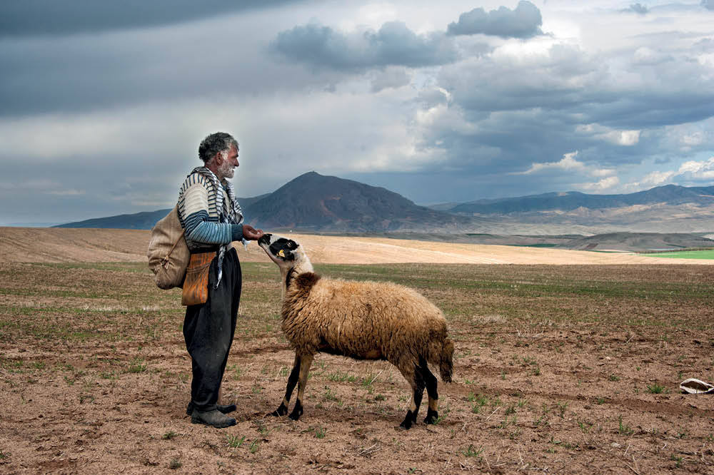 Yalnız Çobanın Konuşmaları