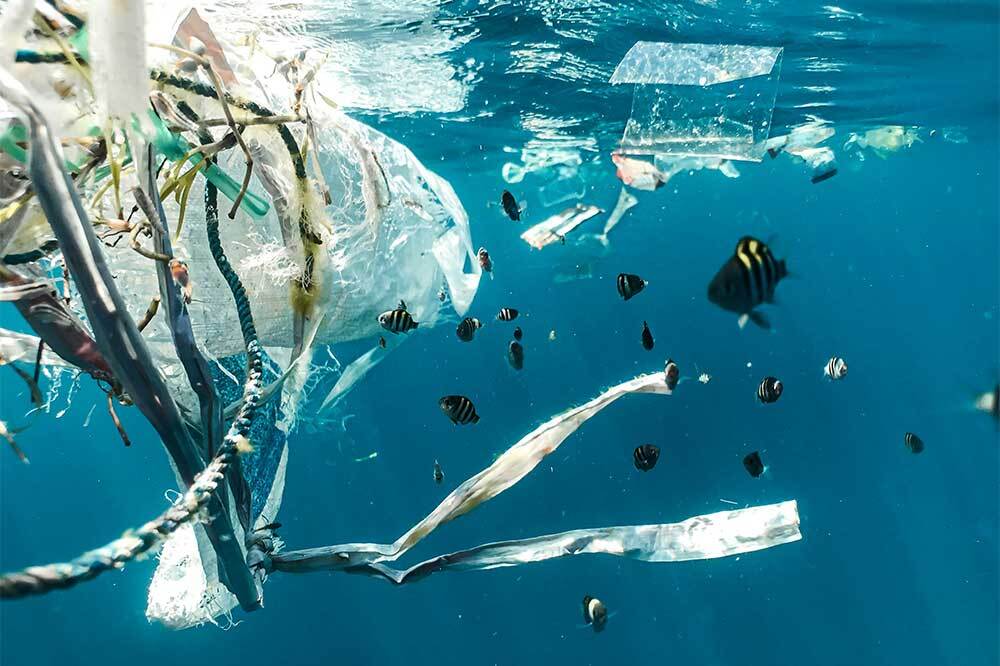 Atık Plastikte Neler Gizli? 1