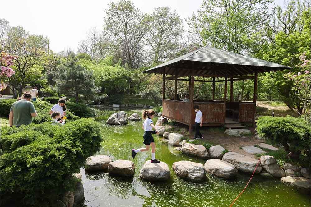 Baltalimanı Japon Bah&ccedil;esi&rsquo;nde Eşsiz Bir İlkbahar 1
