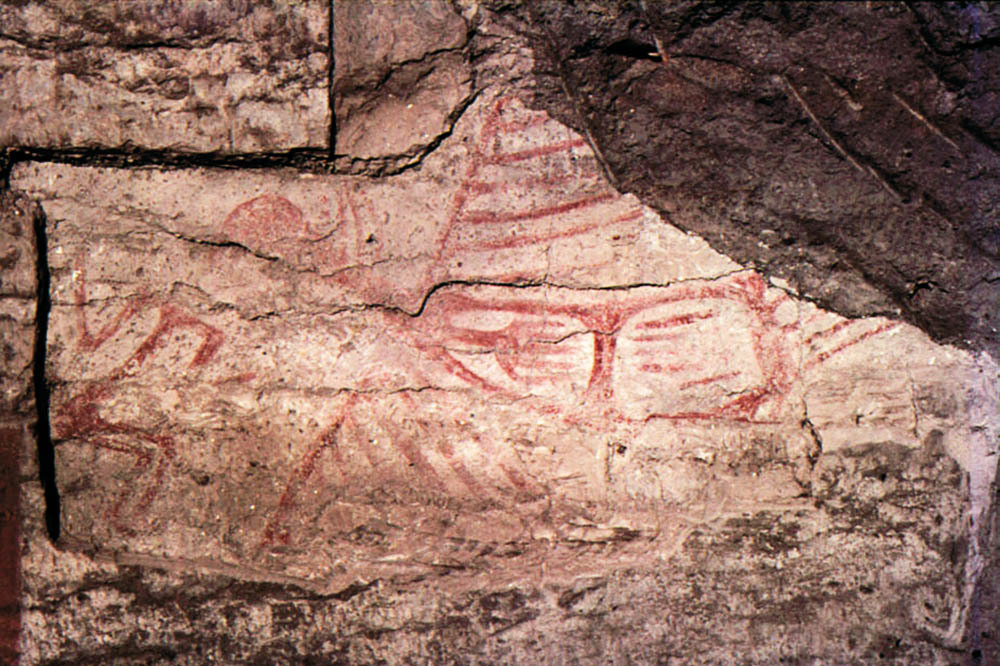 Çatalhöyük'ün Kutsal Kuşları 1