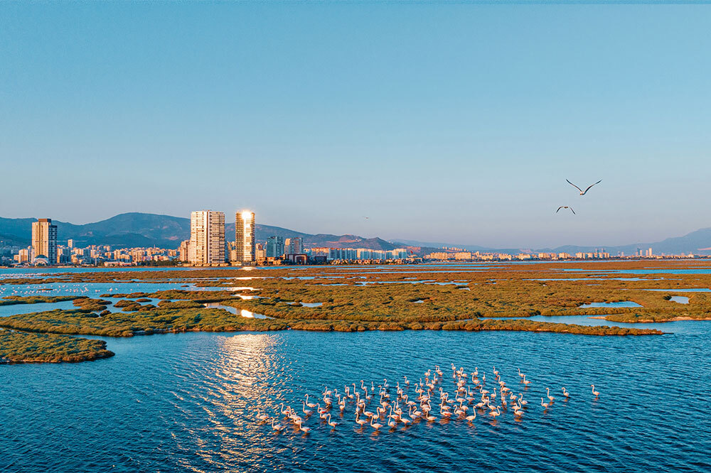 Doğayı Savunanlar İ&ccedil;in Rehber 1