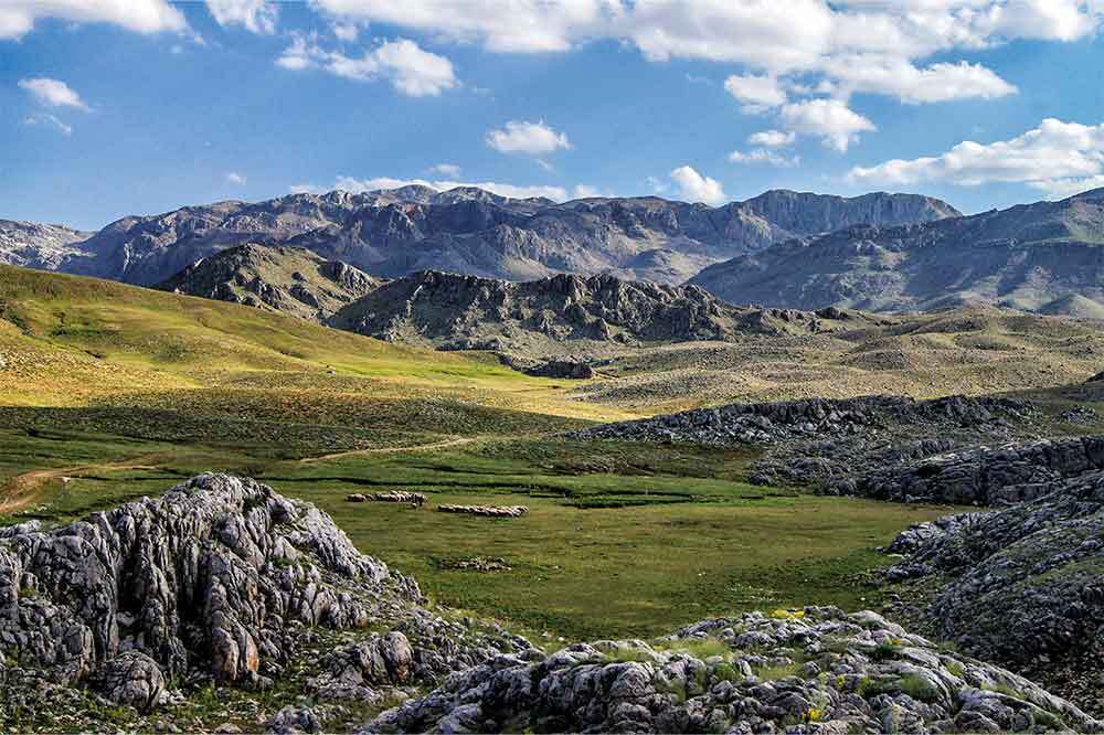 Doğayla Barışmak 2