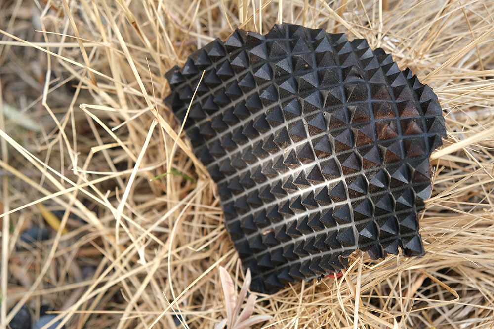 D&ouml;ng&uuml;selliği Zeytinden &Ouml;ğrenmek 2