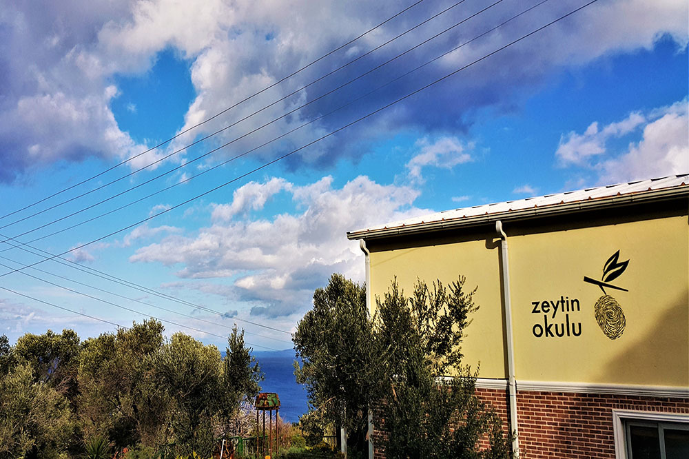 D&ouml;ng&uuml;selliği Zeytinden &Ouml;ğrenmek 5