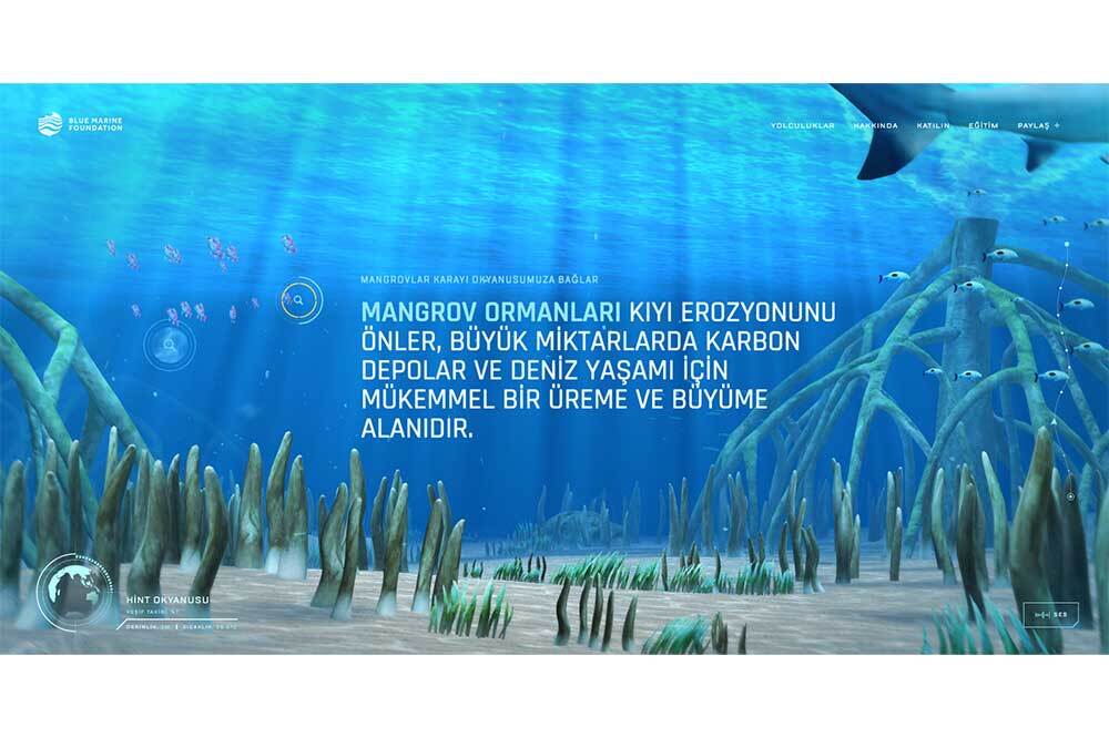 Gençler İçin Dijital Bir Okyanus Yolculuğu 1