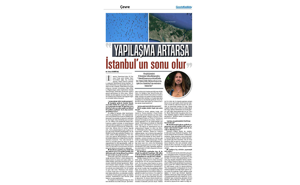 İstanbul&rsquo;un Kuşları Tehlikede! 1