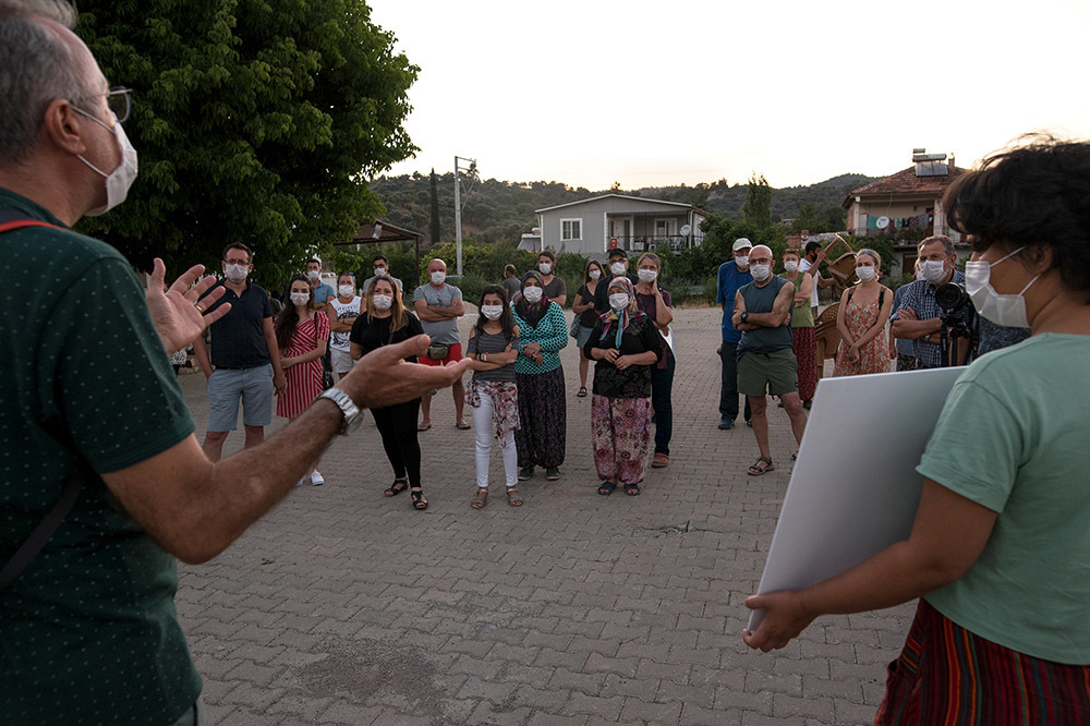 İzmir’in Zeytin Ormanları Tehdit Altında 2