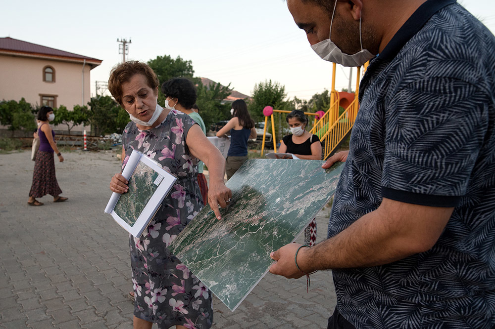 İzmir’in Zeytin Ormanları Tehdit Altında 1