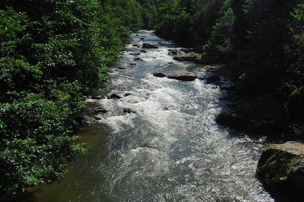 Karadeniz Nehirleri İçin Güç Birliği: PURE RIVERS Projesi Başladı 4