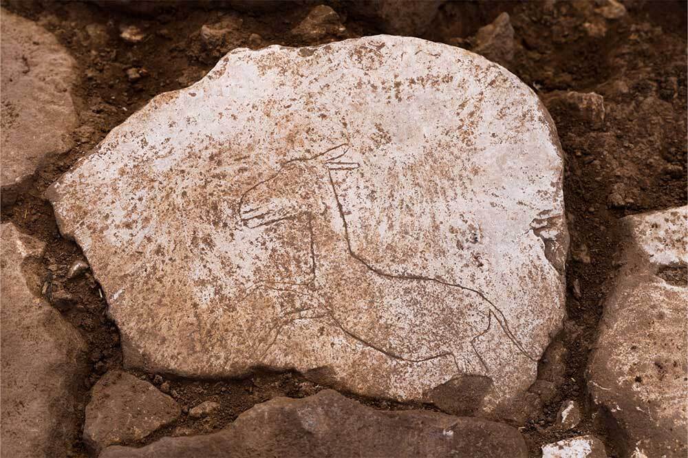 Karahantepe'de Yeni Keşif 1