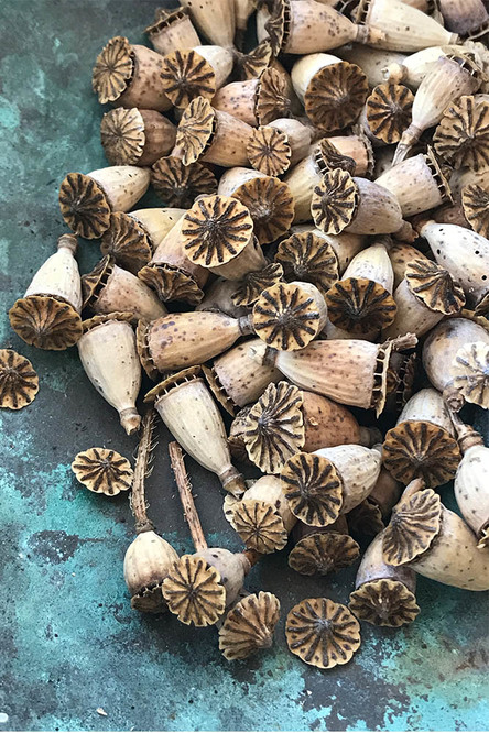 Kurda, Kuşa, Aşa&hellip; Ve G&ouml;ze&hellip; 3