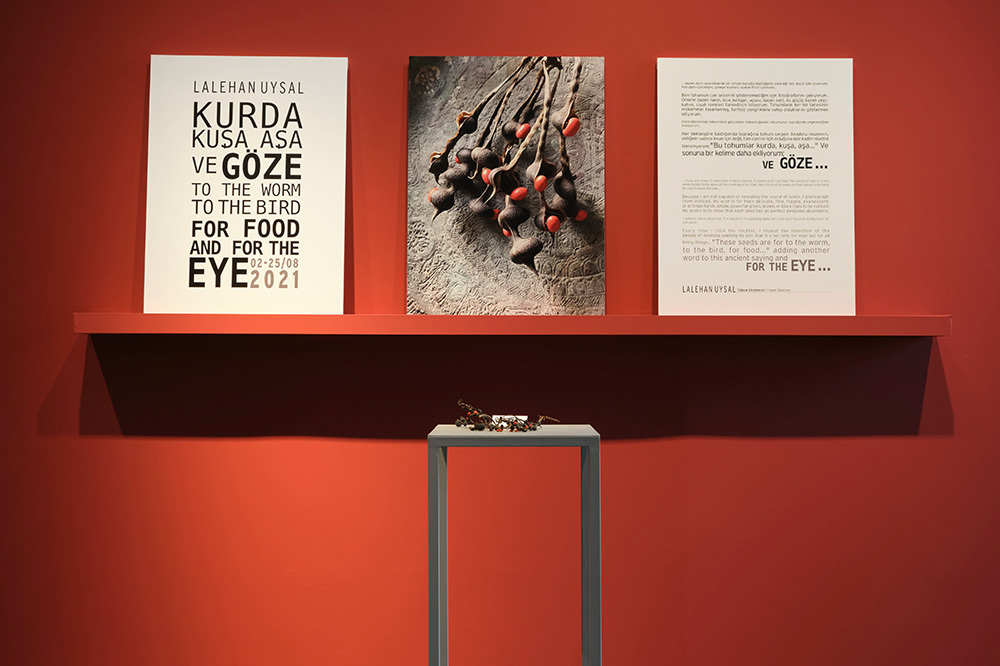 Kurda, Kuşa, Aşa&hellip; Ve G&ouml;ze&hellip; 1