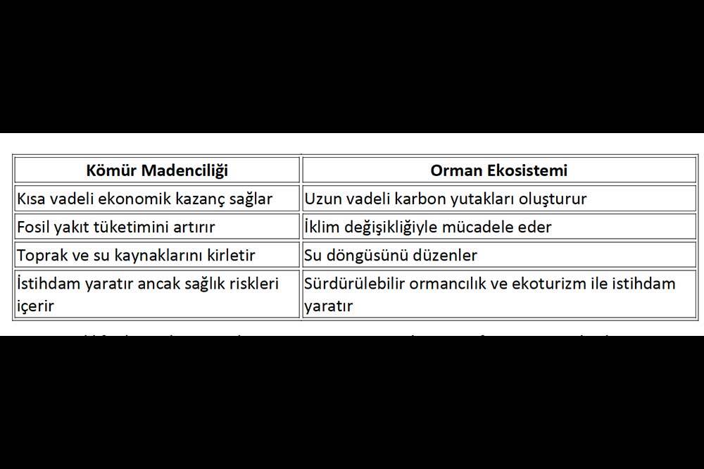 Madencilik Teklifi Ormanları Yok Edecek, İklim Hedeflerini Sabote Edecek 1