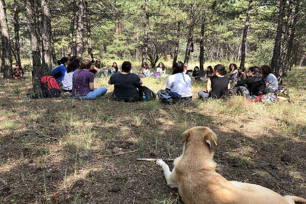 ODTÜ’yü Doğa Rehberi Eşliğinde Gezmek İster Misiniz? 1