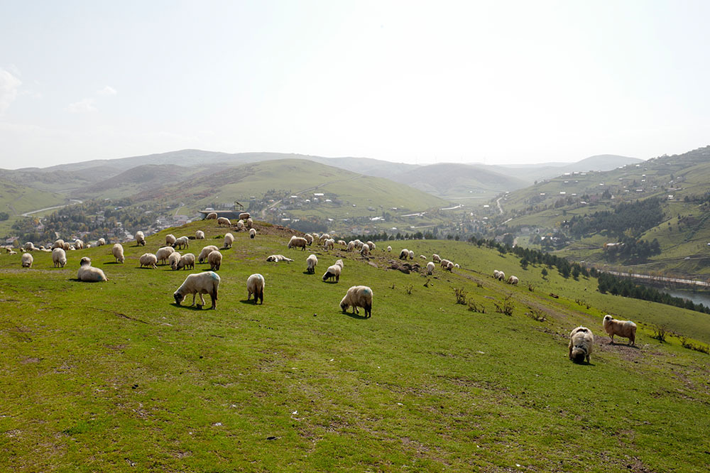 Ordu / Giresun: İki Komşunun Hikâyesi 2