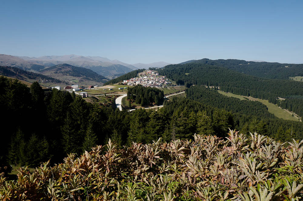 Ordu / Giresun: İki Komşunun Hikâyesi 4
