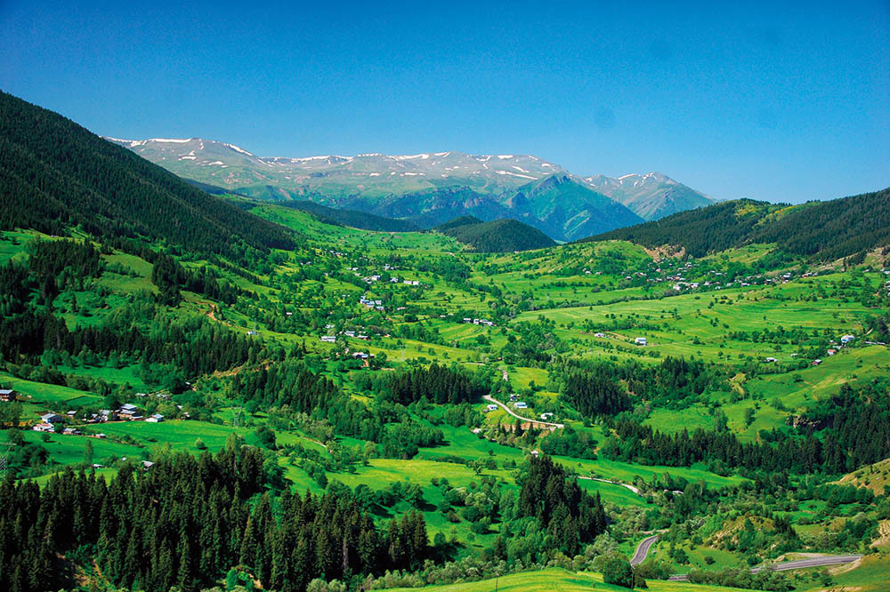 Ormanlar Yanarken 1