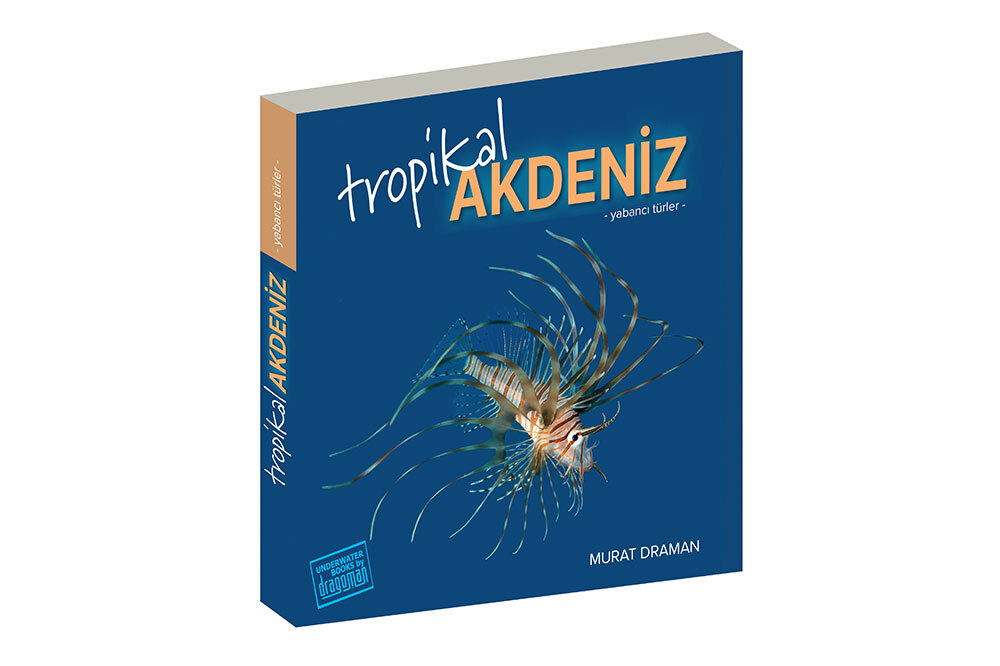 Tropikal Akdeniz’in Yabancı Konukları 1