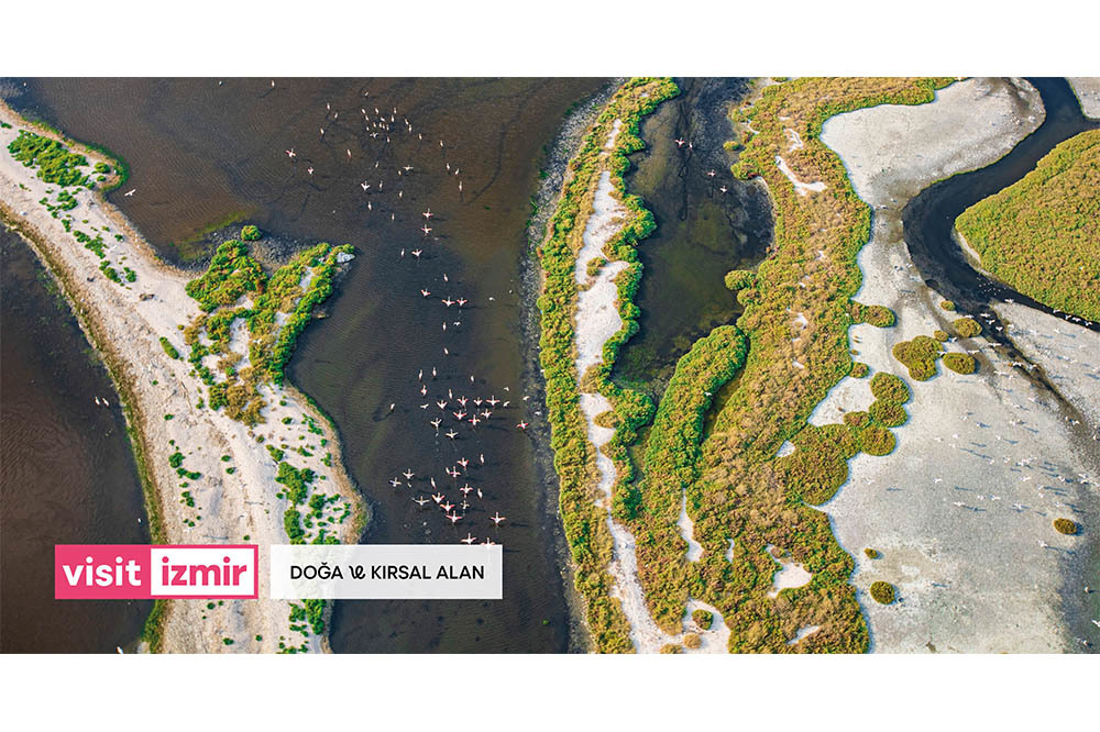 Visitİzmir: Dijital Turizm Ansiklopedisi 2