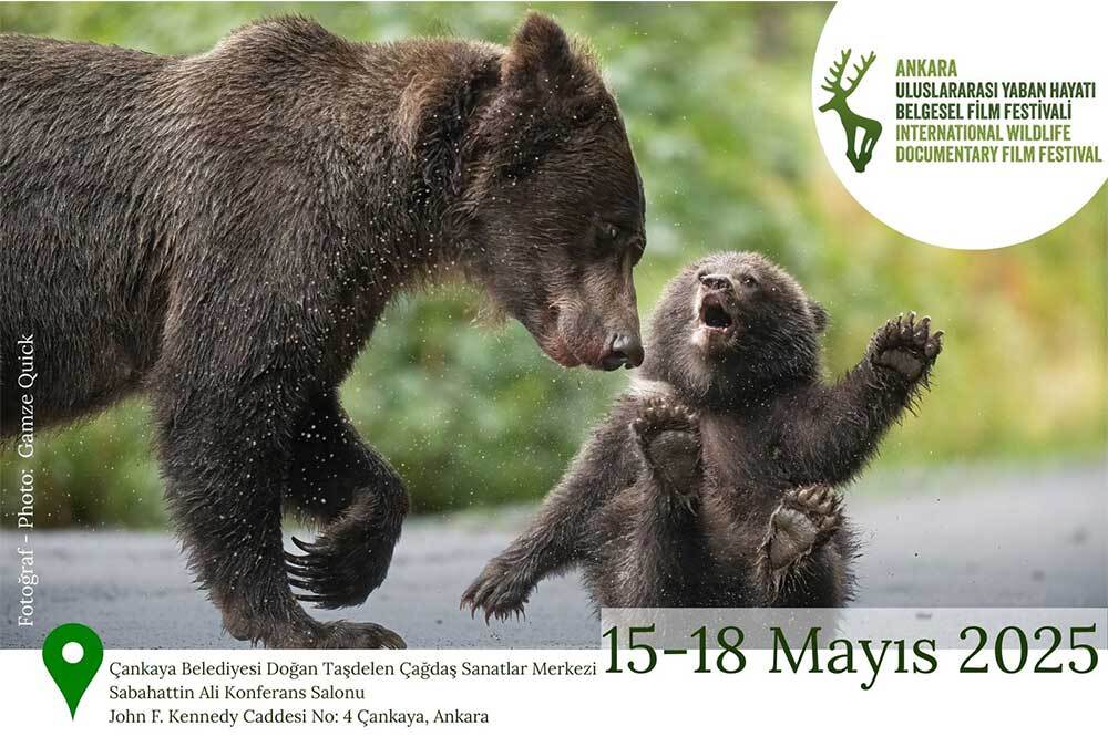 Yaban Hayatının Büyüleyici Hikâyeleri Ankara’da 1