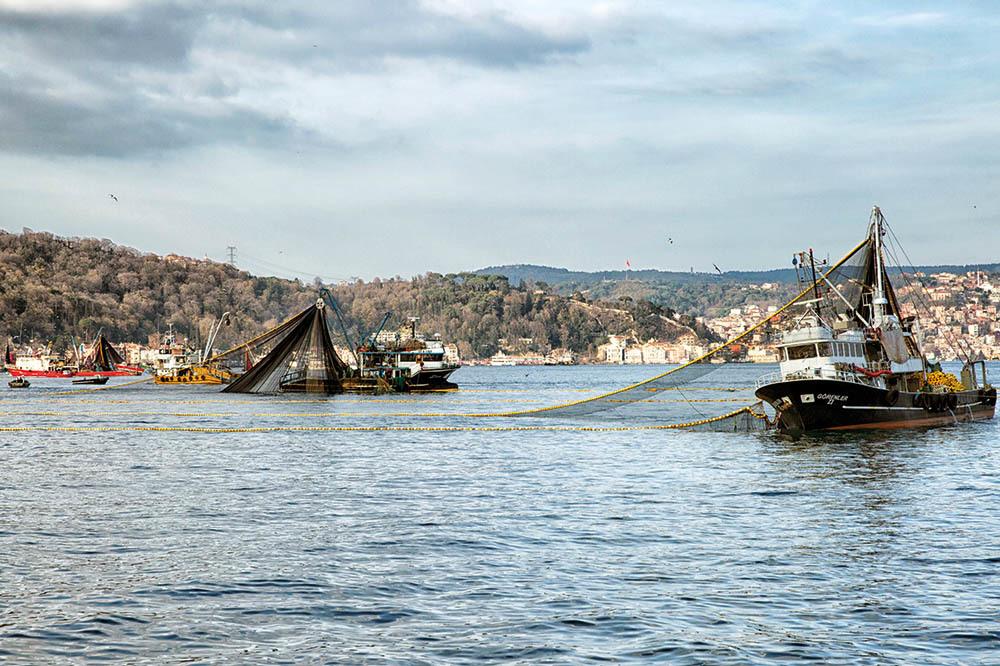 &ldquo;Yavru Balık Yemeyiz Biz&rdquo; 1
