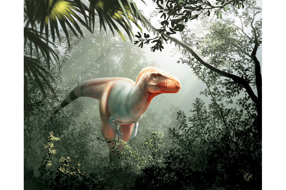 Yeni Dinozor Türü Bulundu 1