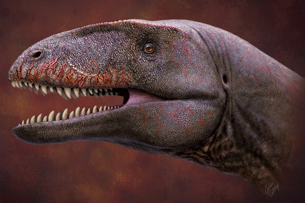Yeni Dinozor Türü Bulundu 2