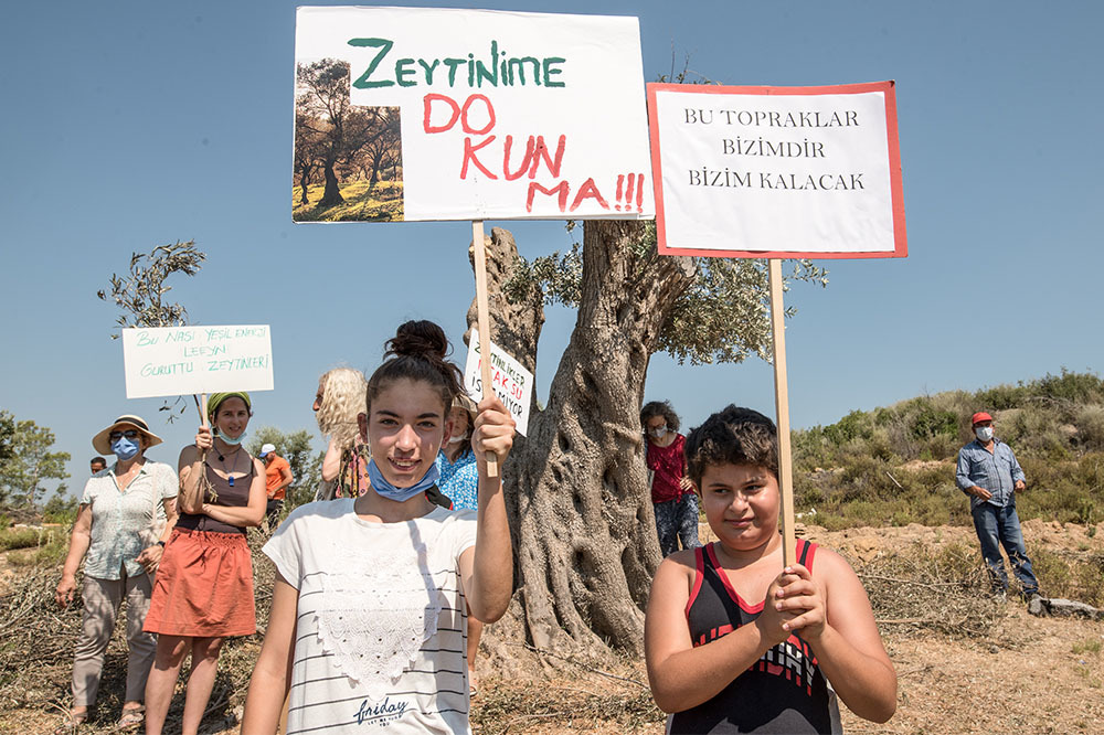 Zeytinimi Katletme 2