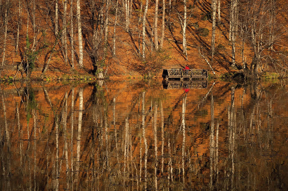 Yedigöller: Güz Güzeli